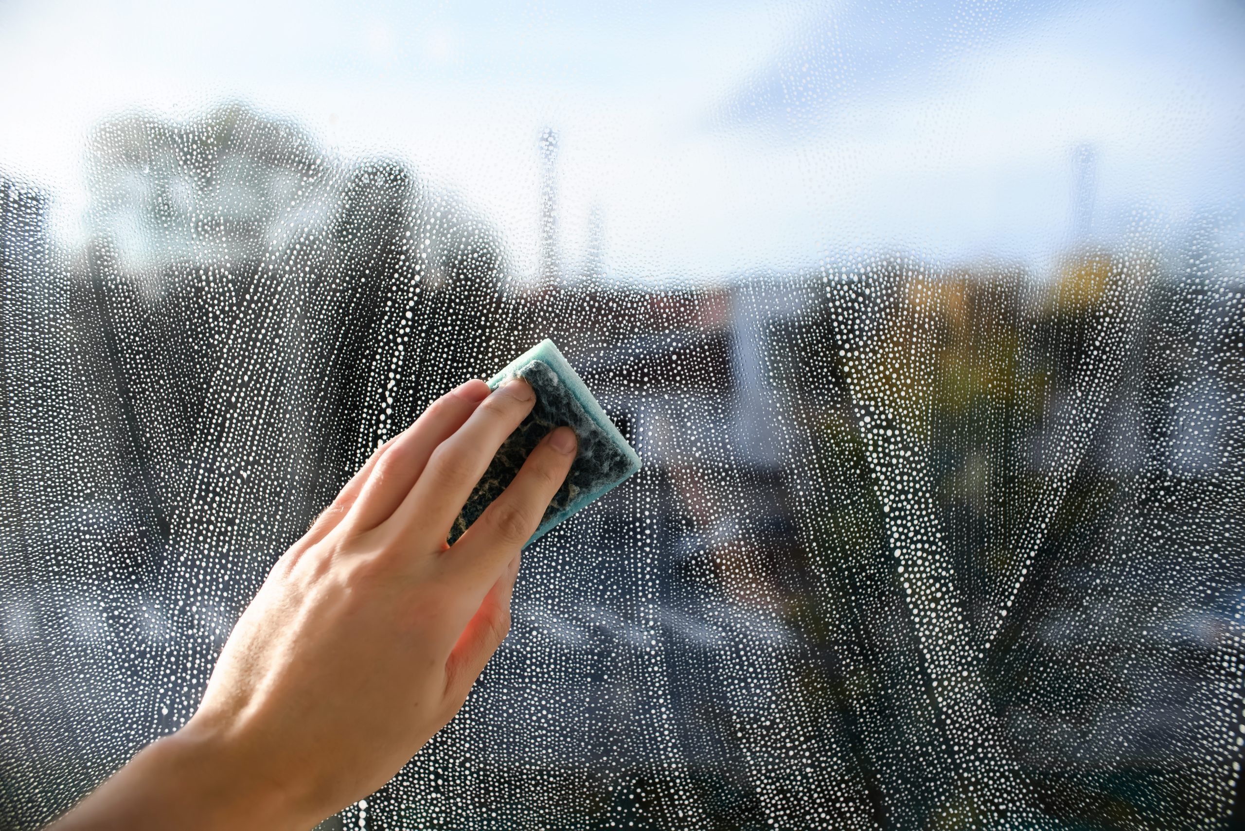 So kann man seine Fenster auch selber putzen. Foto SergioPhotone via Envato