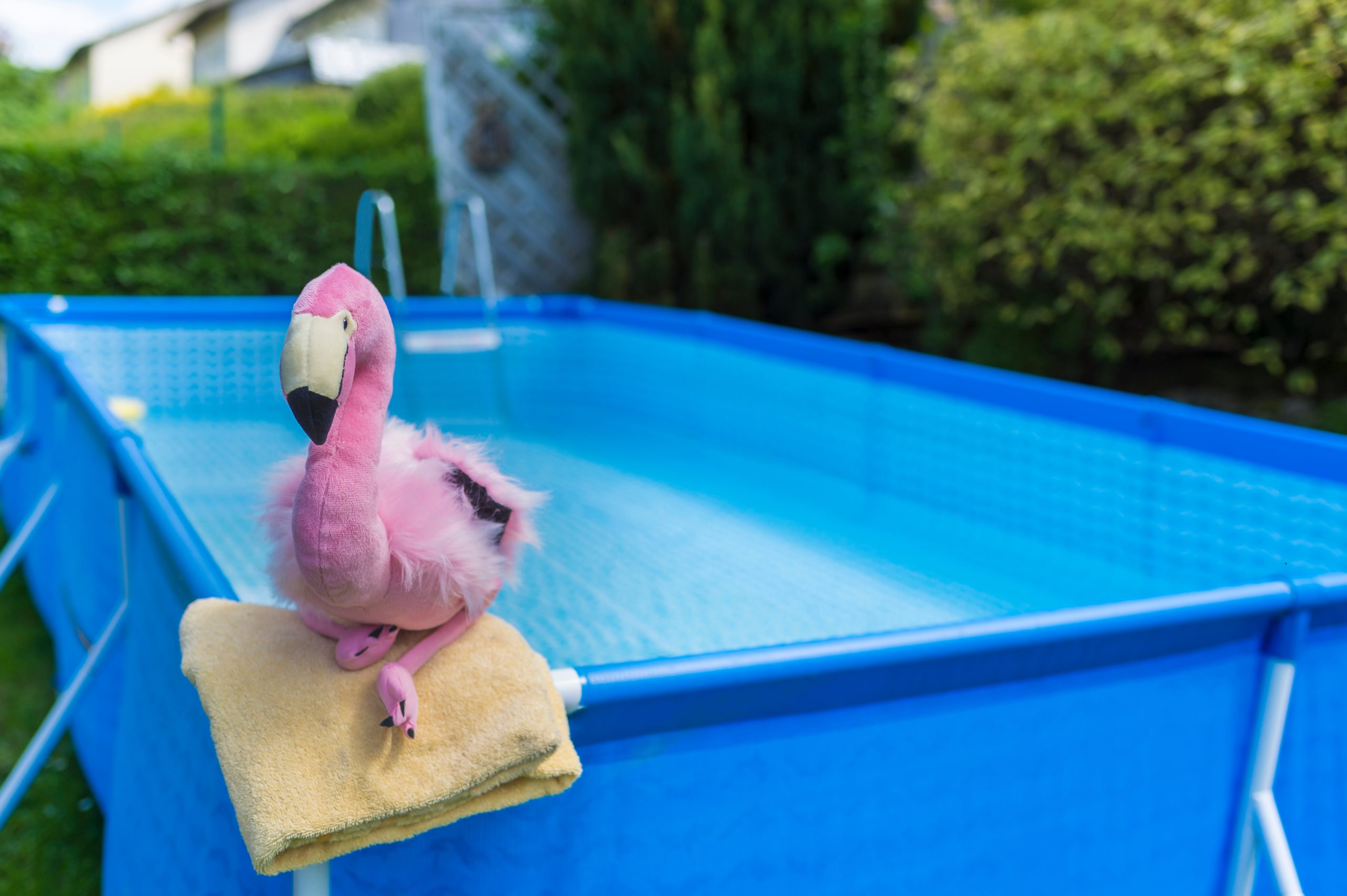 Was ist zu beachten, wenn man daheim im Garten einen Pool aufstellen will? Foto: © Tanja Esser / stock adobe